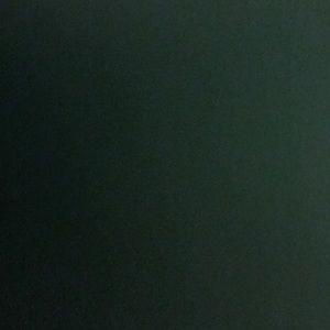 Meet your Posher, Aylin